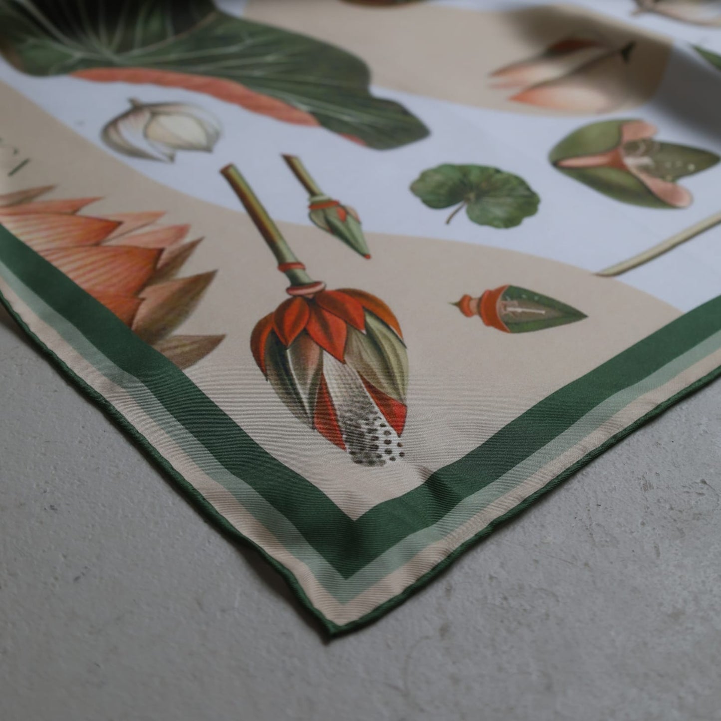 Lillypad Green | BOTÀNICA