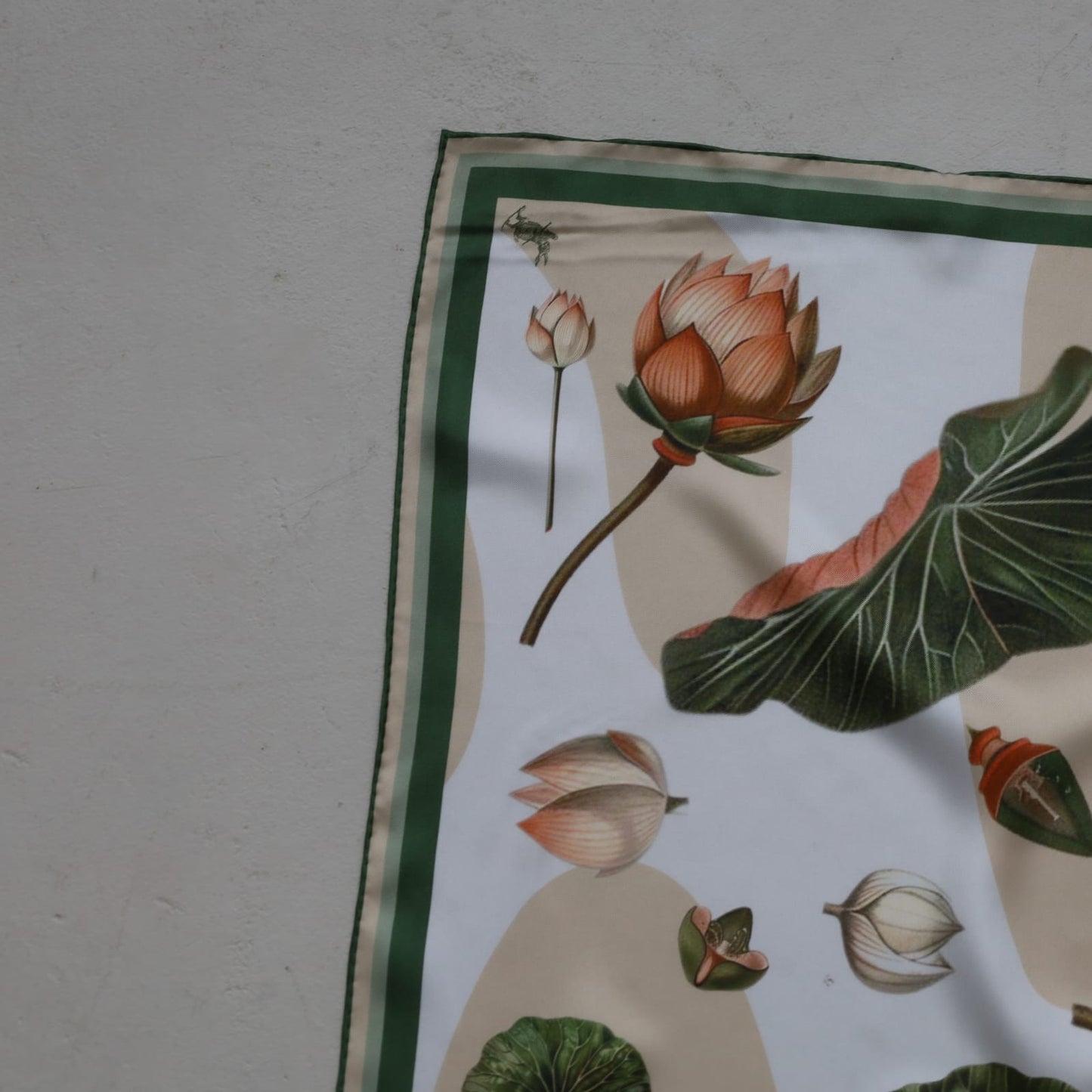 Lillypad Green | BOTÀNICA