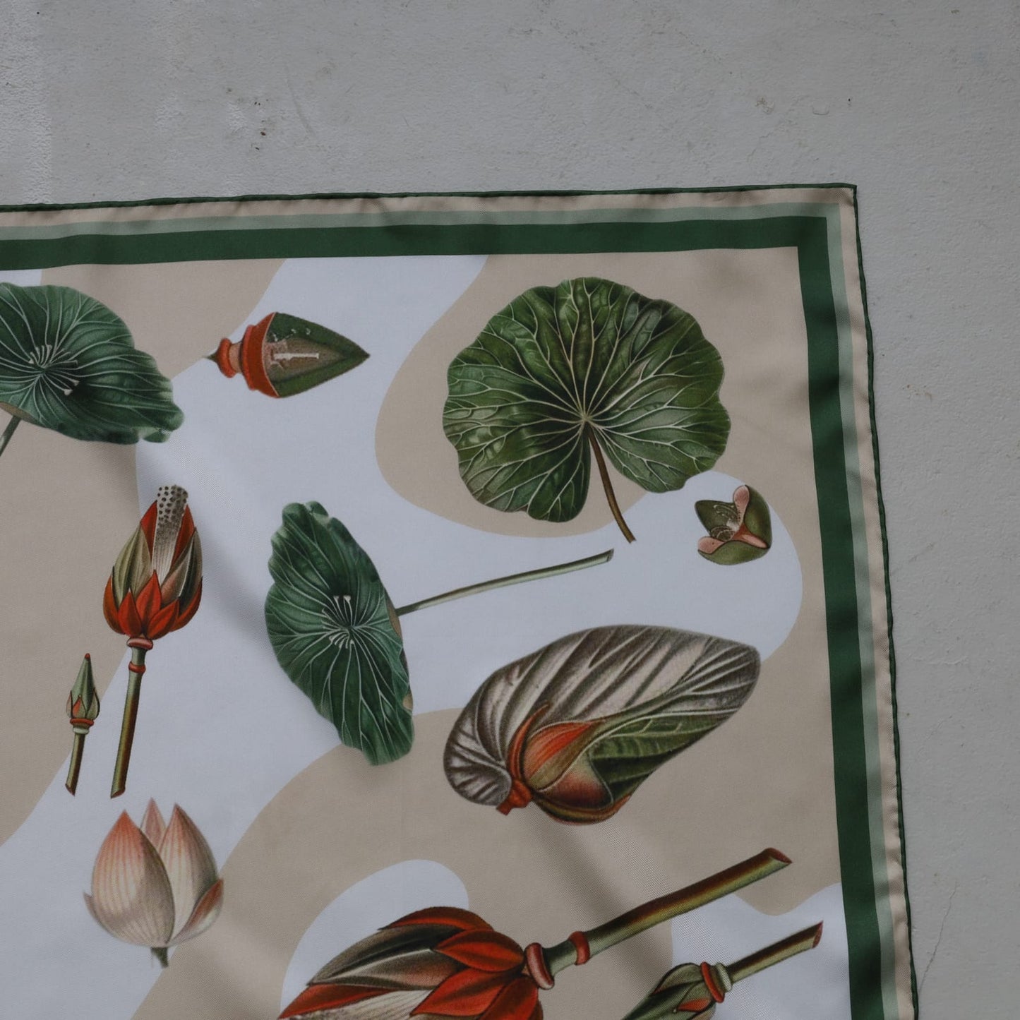 Lillypad Green | BOTÀNICA