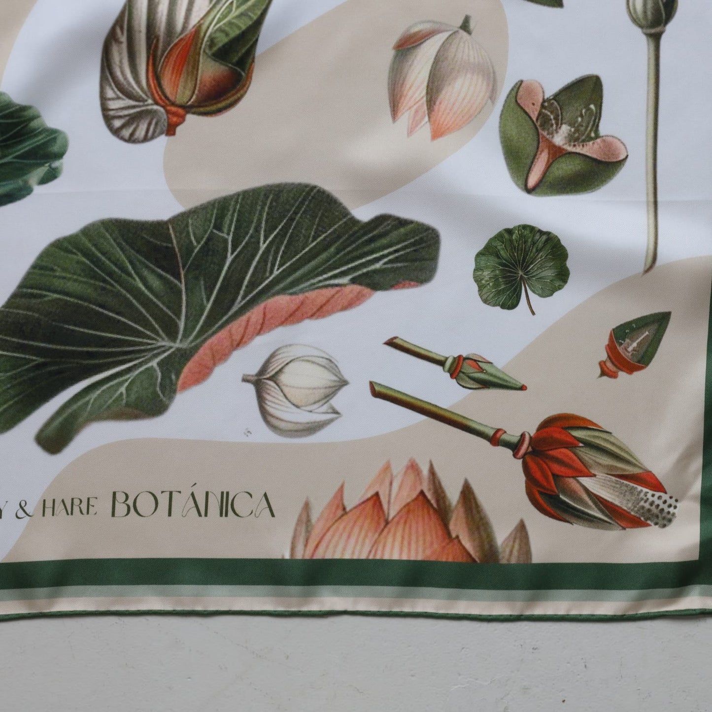 Lillypad Green | BOTÀNICA