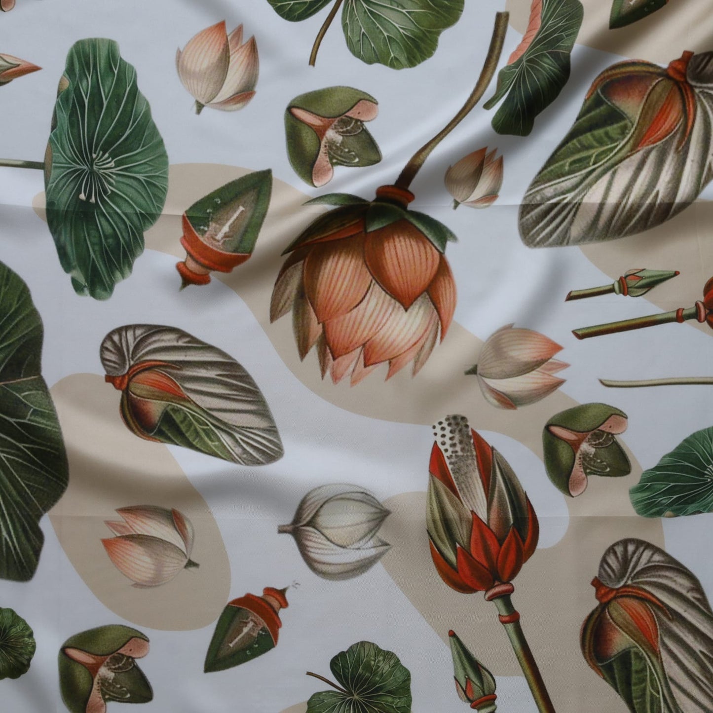 Lillypad Green | BOTÀNICA